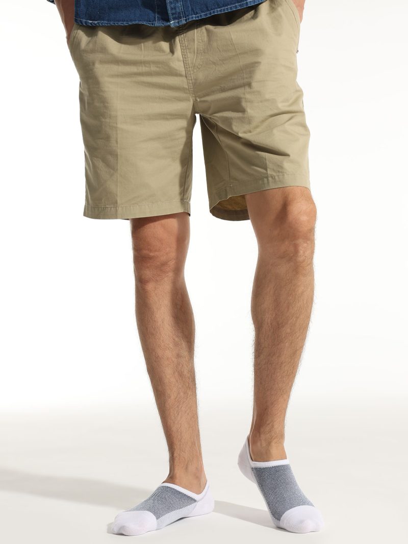 Men's No Show Everyday Colorful Socks
